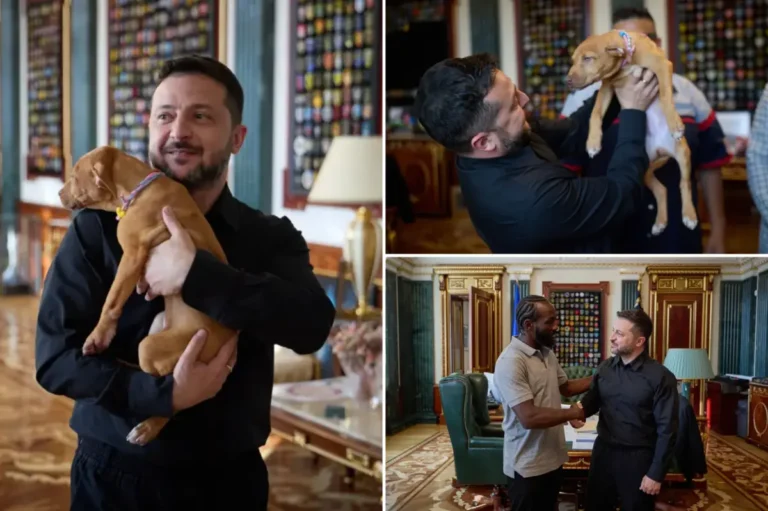 Zelensky cuddles adorable puppy given to him by former American boxer Terence Crawford