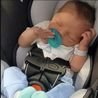 Dad played video games as newborn mauled to death by family dog named ‘Chomp’