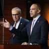 Democrats sue Trump admin to keep armed agents from polls during midterms