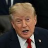 Trump attempts to rename AI and launches poll with three ludicrous suggestions