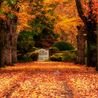 Inside the stunning Northeast town cracking down on influencers this fall